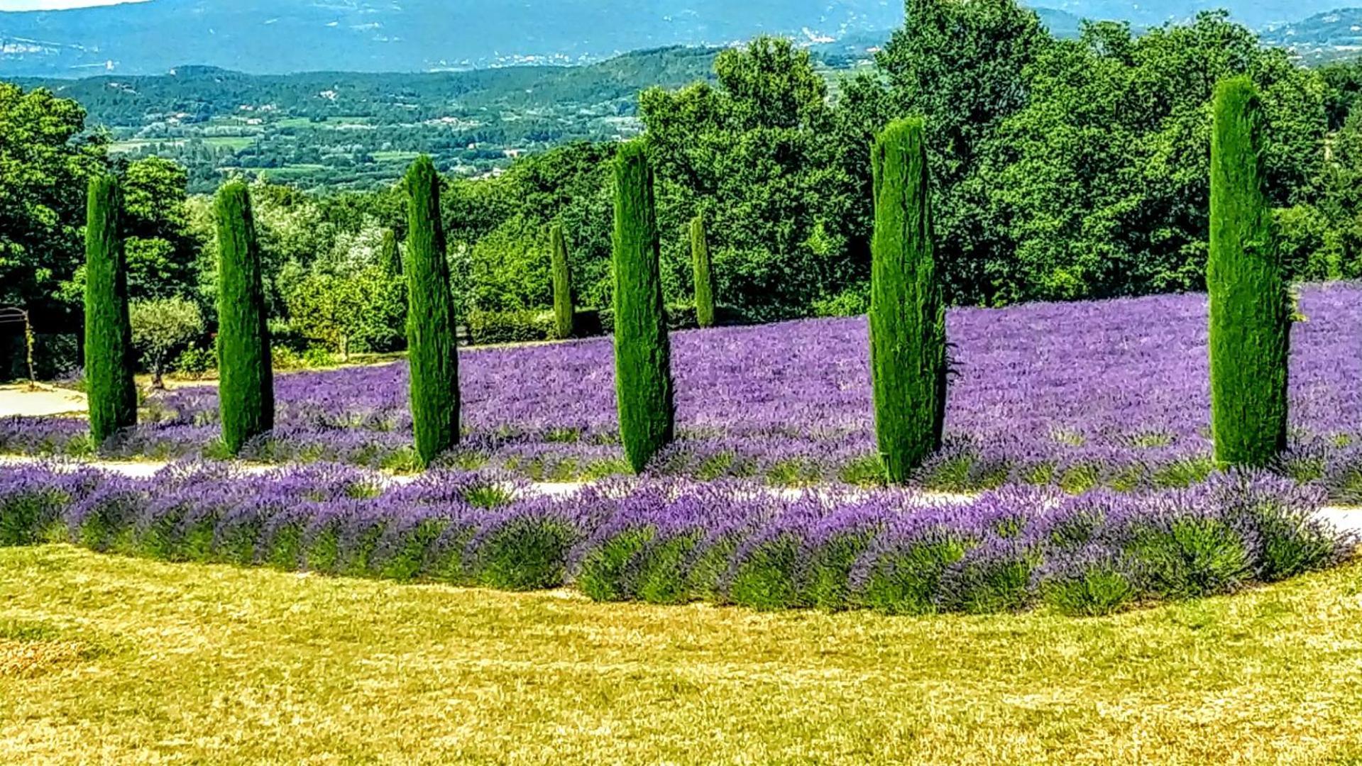 Le Mas De Roussillon Roussillon en Isere Zewnętrze zdjęcie