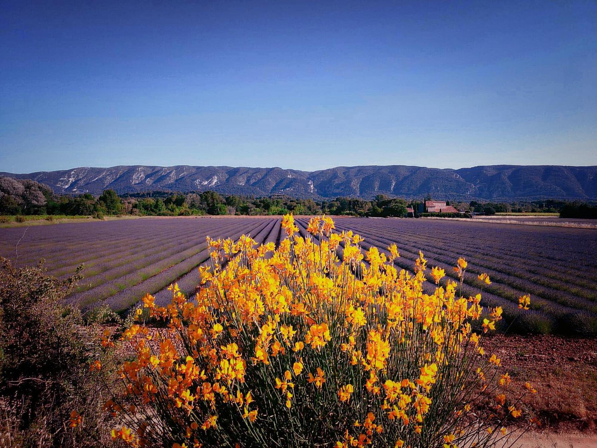 Le Mas De Roussillon Roussillon en Isere Zewnętrze zdjęcie